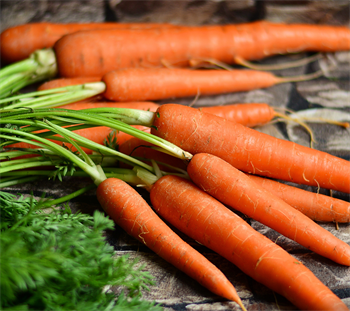 Gulerod Feonia C 0,1kg