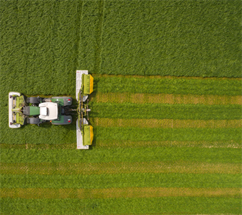 Frøblanding Nr. 33, 10 kg