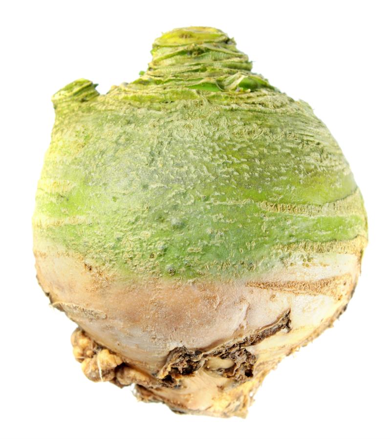 Wilhelmsburger kålroe ubejdset, 1 kg