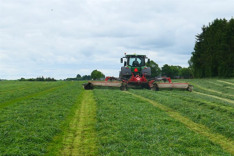 Frøblanding Nr. 49, 10 kg