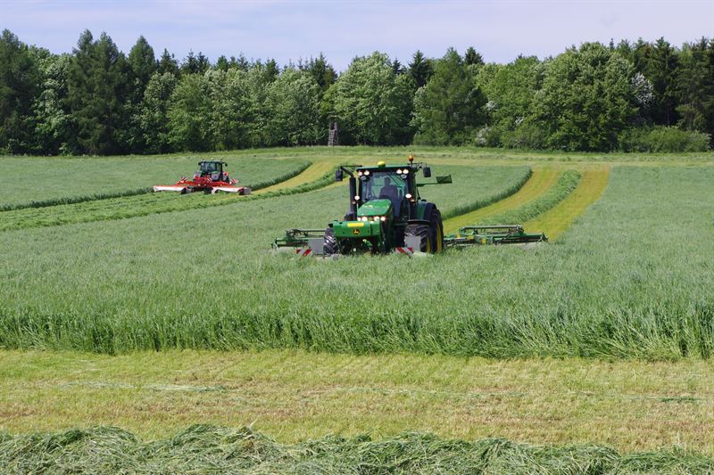 Frøblanding Nr. 50, 10 kg
