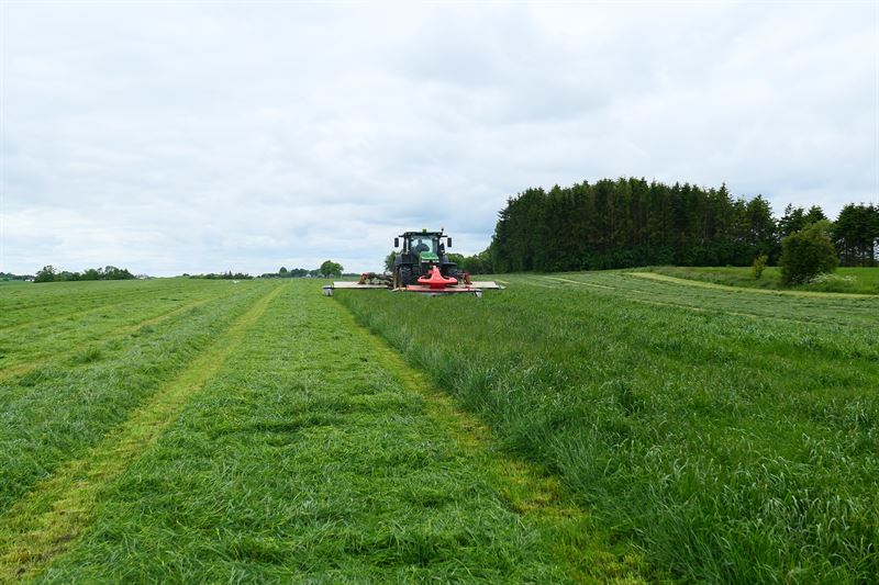 OptiMælk med rødkløver, 10 kg