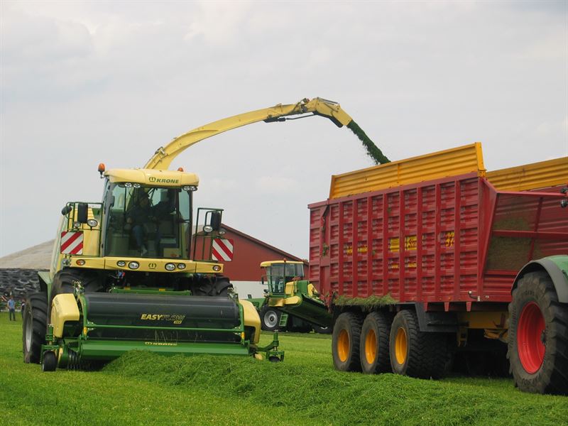 Frøblanding Nr. 36, 10 kg