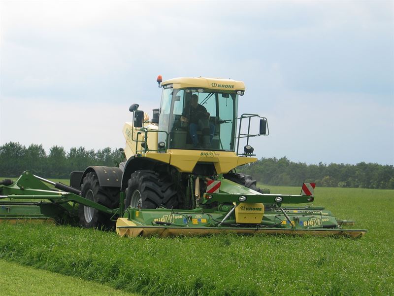 Frøblanding Nr. 37, 10 kg